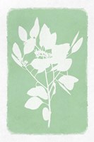 Soft Botanical Feelings 1 Framed Print