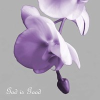 Godly Good Orchids Framed Print