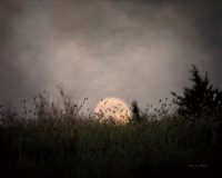 The Prairie Moon Framed Print