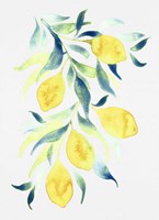 Watercolor Lemons Framed Print