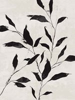 Noir Botanical Framed Print