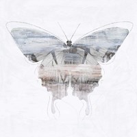 Silver Butterfly Framed Print