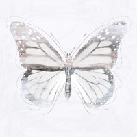 Silver Butterfly II Framed Print