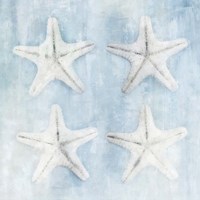 Star Fish Framed Print