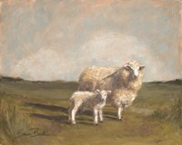 Sheep in the Pasture II Framed Print