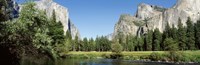 Siesta Lake, Yosemite National Park Framed Print