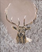 Evander the Winter Elk Framed Print