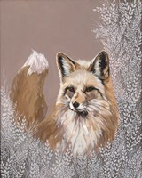 Fraser the Winter Fox Framed Print