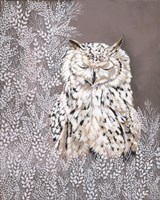Oliver the Winter Owl Framed Print