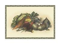 Vegetables from the Earth Fine Art Print