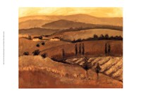 Golden Tuscany Afternoon II Fine Art Print