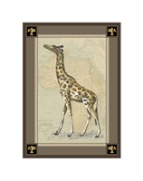 Giraffe with Border I Fine Art Print
