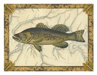 Black Bass on Map Fine Art Print