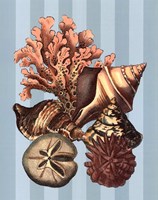 Shell and Coral on Aqua I Fine Art Print