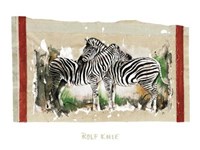 Two Zebras Fine Art Print