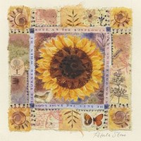 Sunflower Fine Art Print