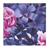 Pink and Blue Flowers Fine Art Print