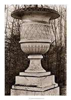 Versailles Urn IV Framed Print