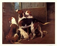 Hounds By a Stable Door Fine Art Print