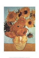 Sunflower on Blue, c.1888 Fine Art Print