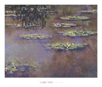 Water Lilies, 1903 Fine Art Print