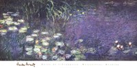 Water Lilies: Morning Fine Art Print