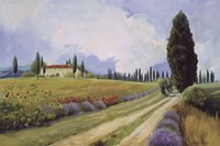 Holiday in Tuscany Fine Art Print