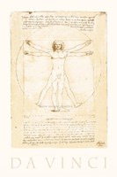 The Vitruvian Man Fine Art Print