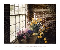 Flower House Morning Fine Art Print