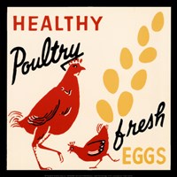 Healthy Poultry-Fresh Eggs Framed Print