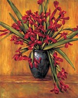 Red Irises Fine Art Print