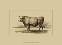 Antique Cow I Fine Art Print