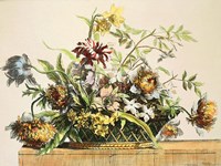 Basket of Flowers II Fine Art Print