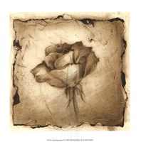 Floral Impression VI Framed Print