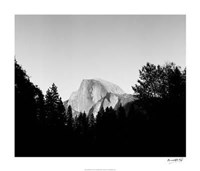 Half Dome In Trees Giclee