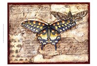 Poetic Butterfly II Fine Art Print
