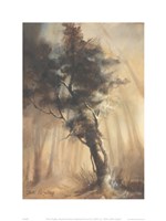 Woodland Sentinel Fine Art Print