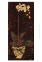 Gilded Orchid I Fine Art Print