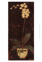 Gilded Orchid II Fine Art Print