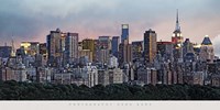 New York Skyline Fine Art Print