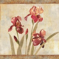 Iris Tapestry I Framed Print