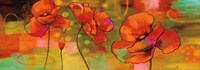 Magical Poppies Fine Art Print