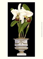 Small Orchids in Silver (IP) II Fine Art Print