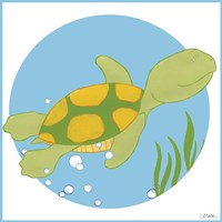 Timothy the Turtle Framed Print