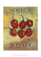 Scotch Bonnet Fine Art Print