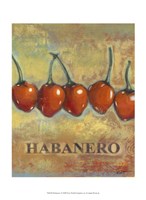 Habanero Fine Art Print