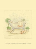 Country Bath I Framed Print