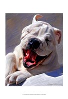 Bull Dog Joyride Fine Art Print