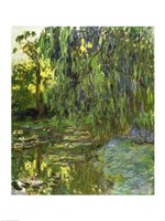 Weeping Willows, The Waterlily Pond at Giverny, c.1918 Framed Print