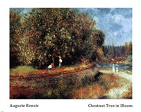 Chestnut Tree in Bloom Framed Print